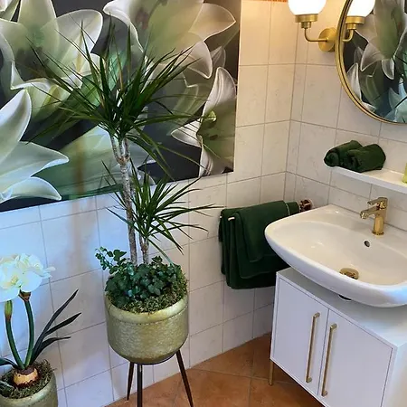 Park Cafe Am Kurpark Διαμέρισμα Bernkastel-Kues